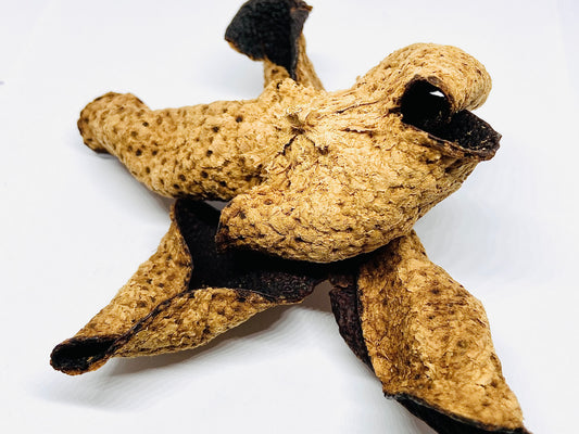 新會三十年陳皮 37.5克